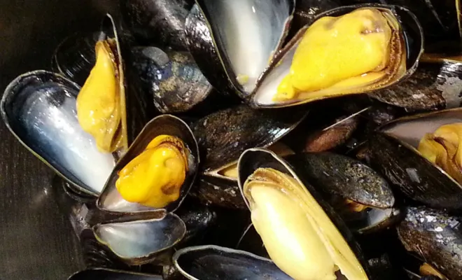 moule bouchot AOP Mont saint Michel à chaponost, Chaponost, Poissonnerie Florent