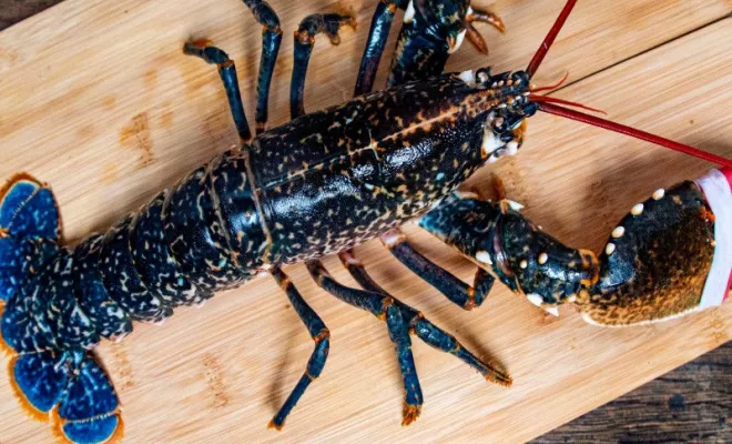 Poissonnerie artisanale, Chaponost, Poissonnerie Florent